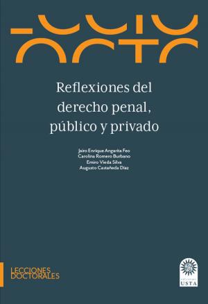 Cover of the book Reflexiones del derecho penal, público y privado by Astrid Wagner