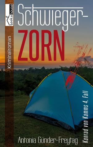 Cover of the book Schwiegerzorn - Konrad von Kamms 4. Fall by RJ Palmer