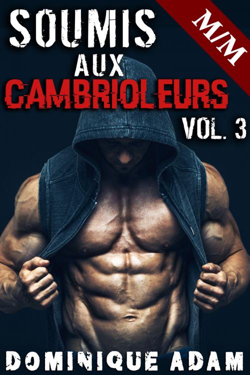 Cover of the book Soumis Aux Cambrioleurs Vol. 3 by Dominique Adam, Dominique Adam