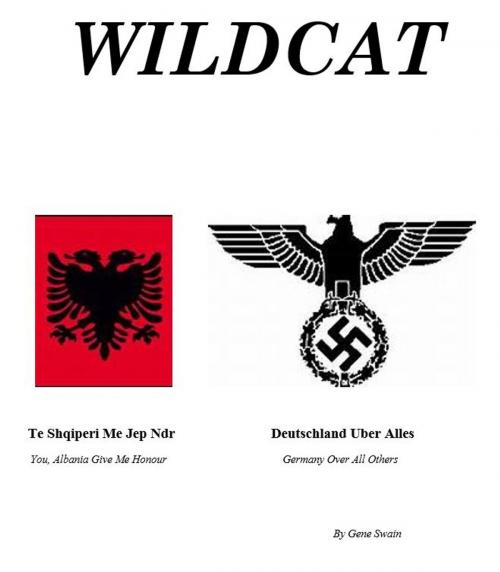 Cover of the book Wildcat by Gene Swain, Kobo