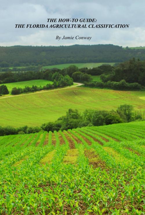 Cover of the book How-To Guide: The Florida Agricultural Classification by Jamie Conway, Brenden Leland