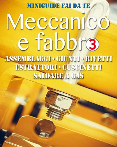 Cover of the book Meccanico e fabbro - 3 by Valerio Poggi, Valerio Poggi