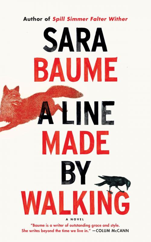 Cover of the book A Line Made by Walking by Sara Baume, HMH Books