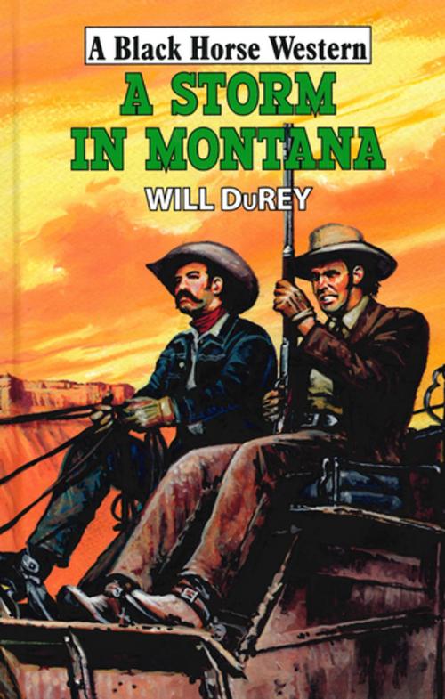 Cover of the book A Storm in Montana by Will DuRey, Robert Hale