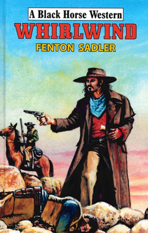 Cover of the book Whirlwind by Fenton Sadler, Robert Hale