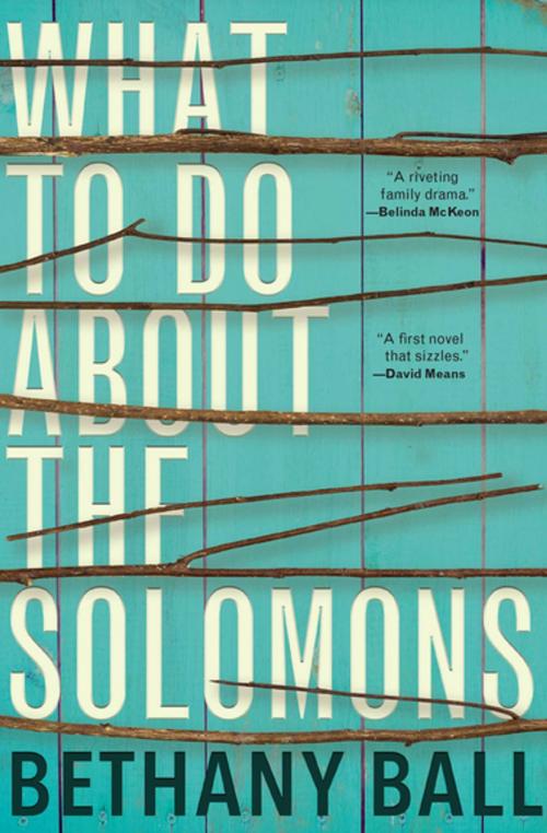 Cover of the book What to Do About the Solomons by Bethany Ball, Grove Atlantic
