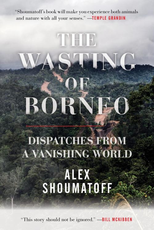 Cover of the book The Wasting of Borneo by Alex Shoumatoff, Beacon Press