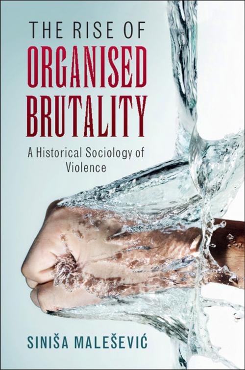 Cover of the book The Rise of Organised Brutality by Siniša Malešević, Cambridge University Press