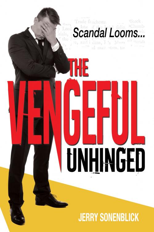 Cover of the book The Vengeful Unhinged by Jerry Sonenblick, Jerry Sonenblick