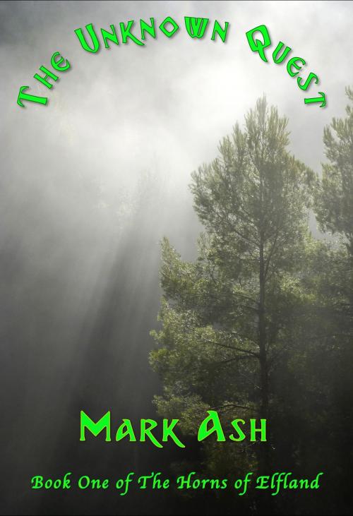 Cover of the book The Unknown Quest by Mark Ash, Mark Ash