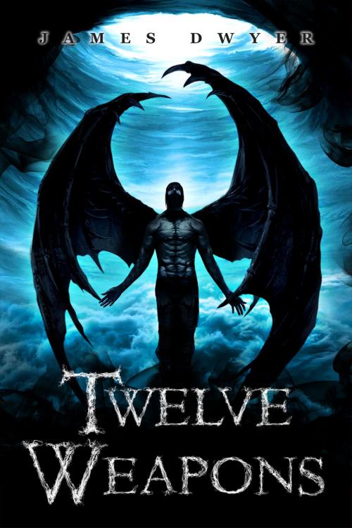 Cover of the book Twelve Weapons by James Dwyer, James Dwyer