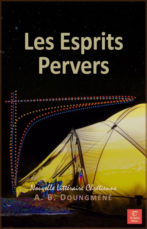 Cover of the book Les Esprits Pervers by A. B. Doungméné, A. B. Doungméné