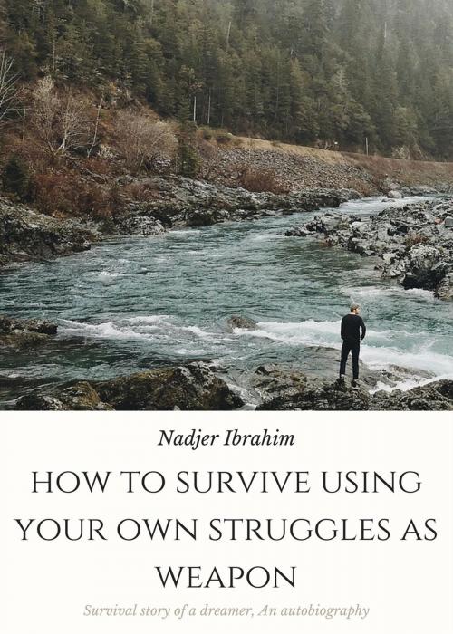 Cover of the book HOW TO SURVIVE USING YOUR OWN STRUGGLES AS WEAPON by Nadjer Ibrahim, Nadjer Ibrahim