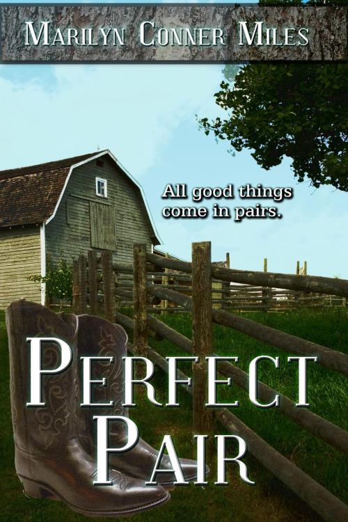 Cover of the book Perfect Pair by Marilyn Conner Miles, Books to Go Now