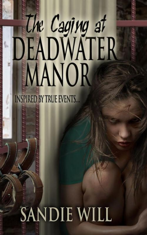 Cover of the book The Caging at Deadwater Manor by Sandie Will, Sandie Will