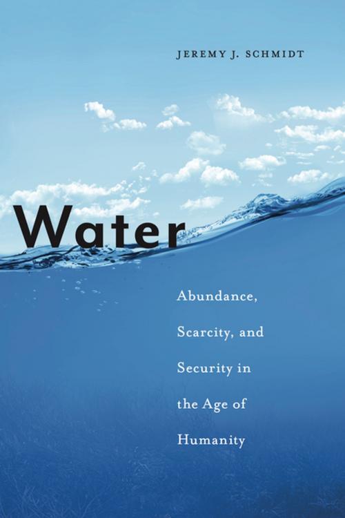 Cover of the book Water by Jeremy J. Schmidt, NYU Press