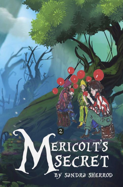 Cover of the book Mericolt's Secret by Sandra Sherrod, BookBaby