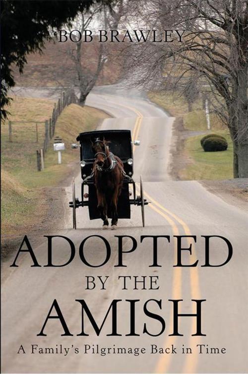 Cover of the book Adopted by the Amish by Bob Brawley, LifeRich Publishing