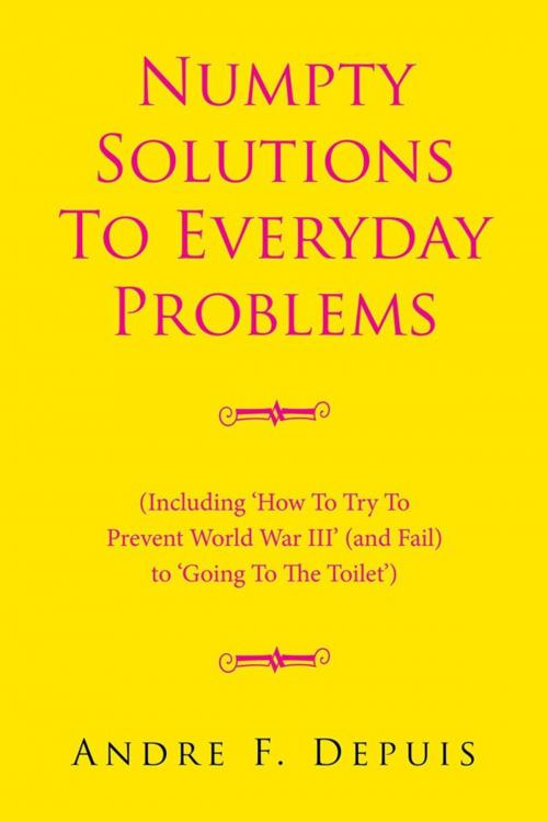 Cover of the book Numpty Solutions to Everyday Problems by Andre F. Depuis, Xlibris UK