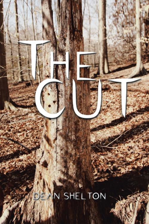 Cover of the book The Cut by Dean Shelton, AuthorHouse