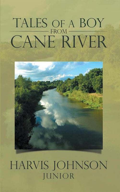 Cover of the book Tales of a Boy from Cane River by Harvis Johnson, iUniverse