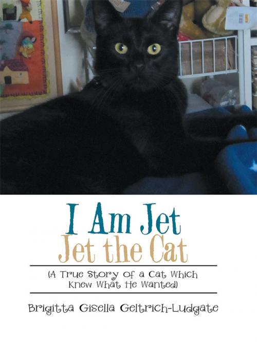 Cover of the book I Am Jet Jet the Cat by Brigitta Gisella Geltrich-Ludgate, Xlibris US