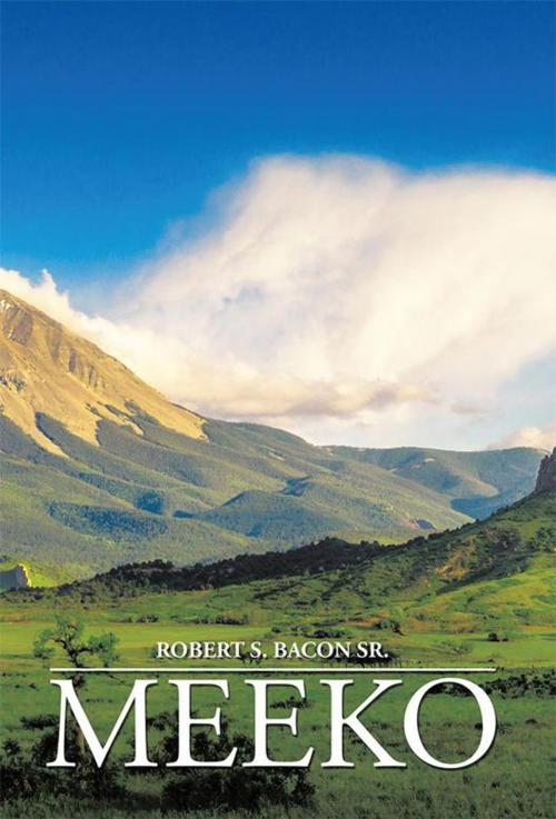 Cover of the book Meeko by Robert S. Bacon Sr., Xlibris US