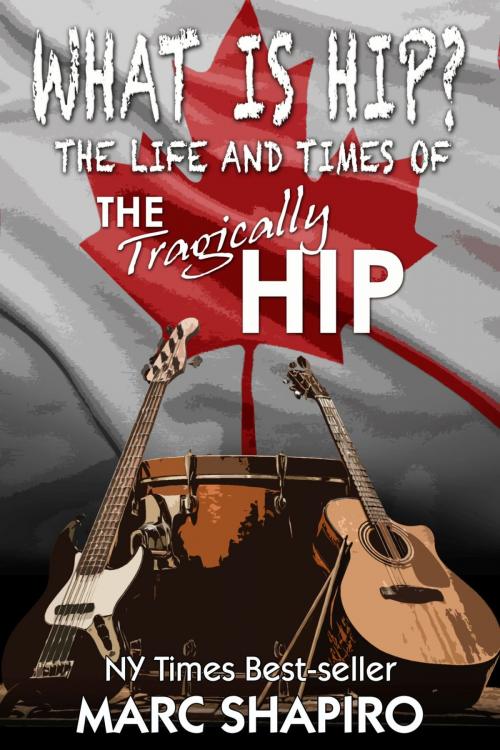 Cover of the book What Is Hip? by Marc Shapiro, Riverdale Avenue Books LLC