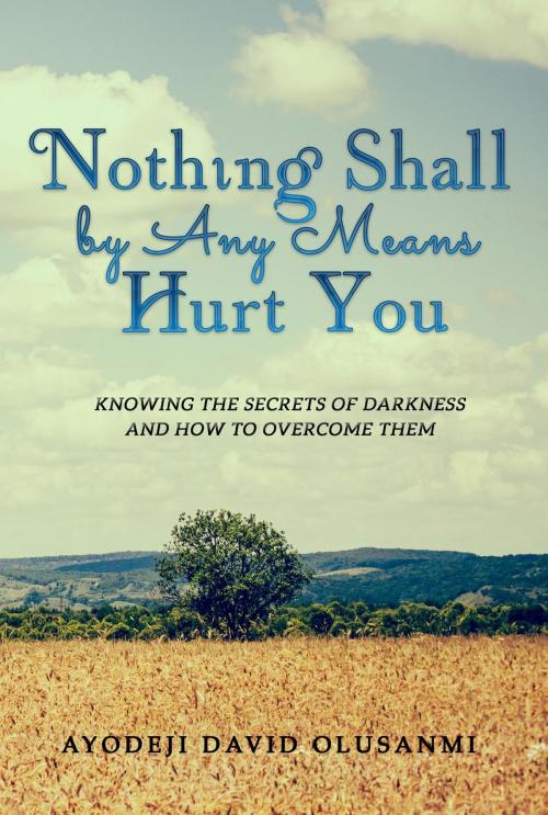 Cover of the book Nothing Shall By Any Means Hurt You by Ayodeji David Olusanmi, Baruch Publishing