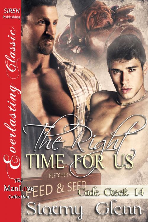 Cover of the book The Right Time for Us by Stormy Glenn, Siren-BookStrand