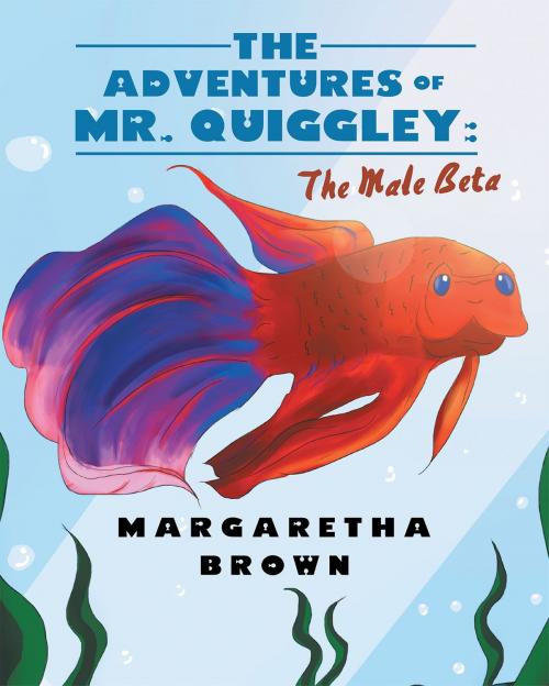 Cover of the book The Adventures of Mr. Quiggley by Margaretha Brown, Page Publishing, Inc.