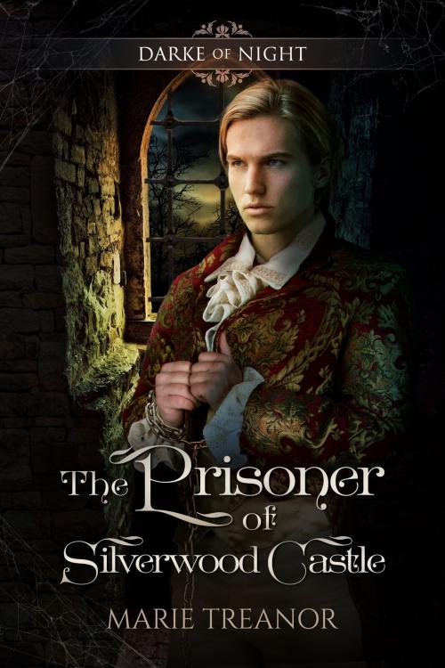 Cover of the book The Prisoner of Silverwood Castle by Marie Treanor, Marie Treanor