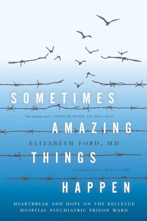 Cover of the book Sometimes Amazing Things Happen by Elizabeth Ford MD, Regan Arts.