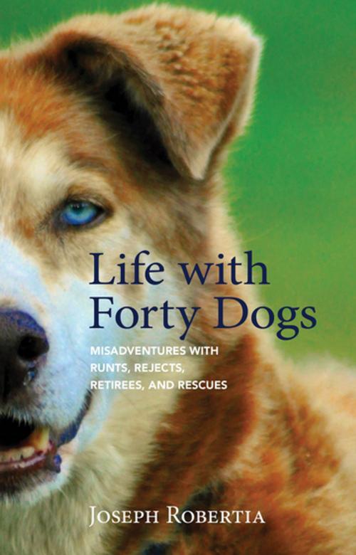 Cover of the book Life with Forty Dogs by Joseph Robertia, West Margin Press