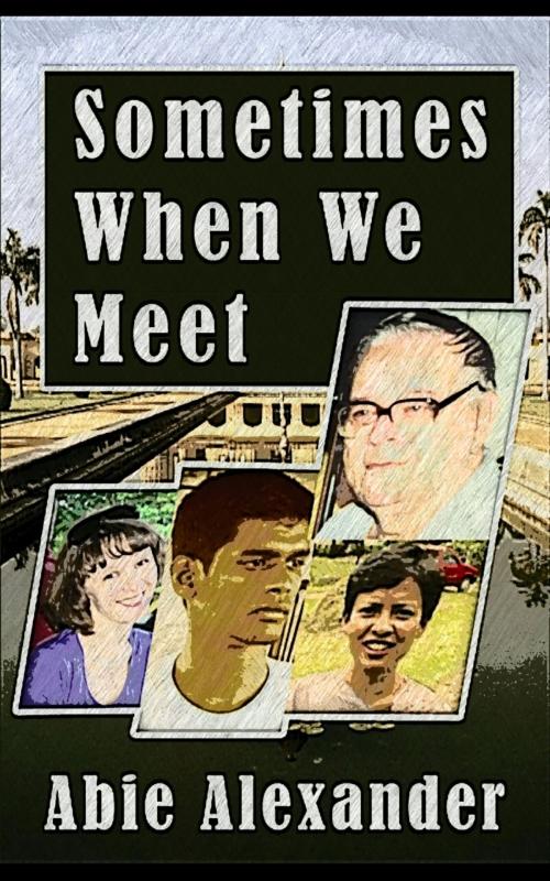 Cover of the book Sometimes When We Meet by Abie Alexander, Abie Alexander