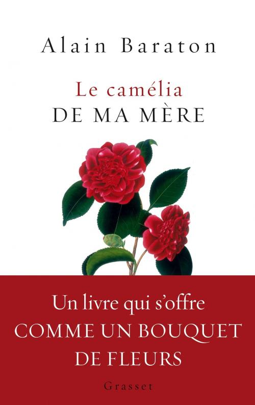 Cover of the book Le camélia de ma mère by Alain Baraton, Grasset