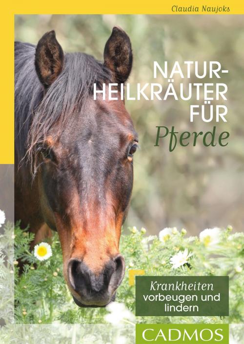 Cover of the book Naturheilkräuter für Pferde by Claudia Naujoks, Cadmos Verlag