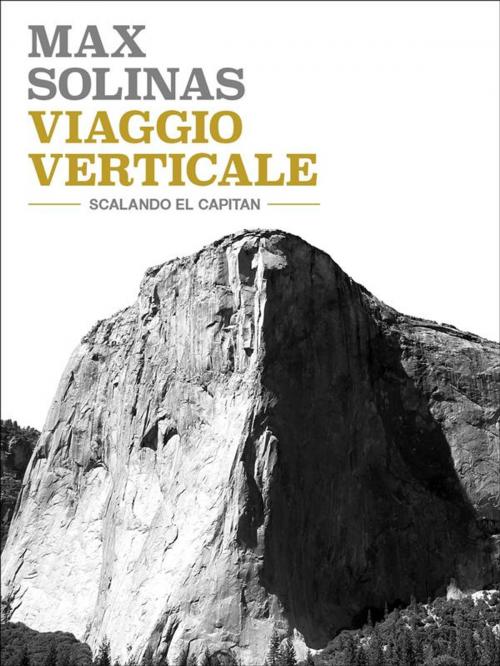 Cover of the book Viaggio verticale by Max Solinas, Max Solinas