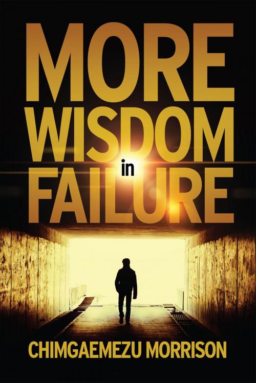 Cover of the book More Wisdom in Failure by Chimgaemezu Morrison, Notion Press