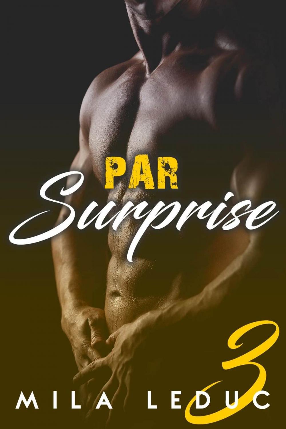 Big bigCover of Par Surprise - Tome 3