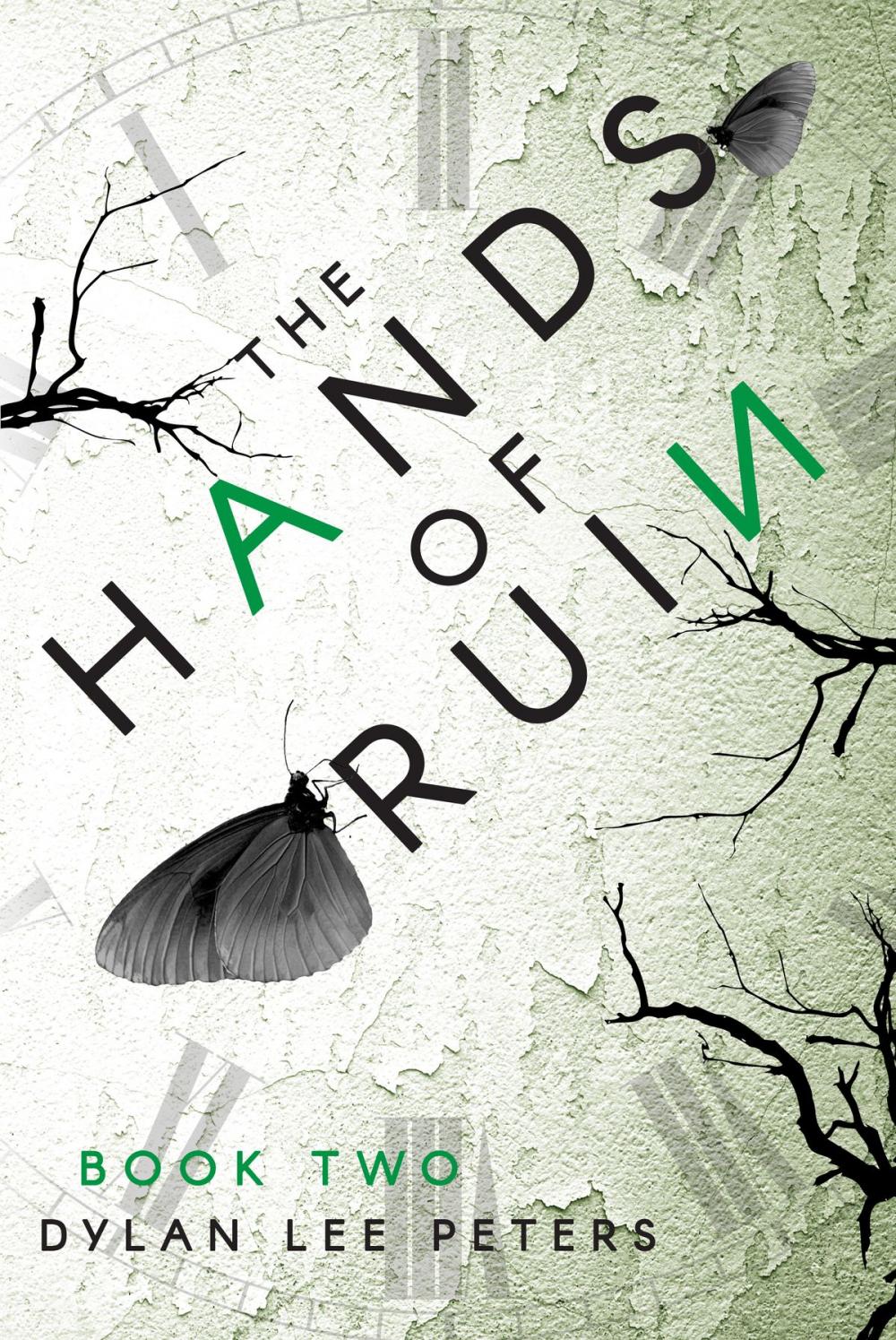 Big bigCover of The Hands of Ruin: Book Two