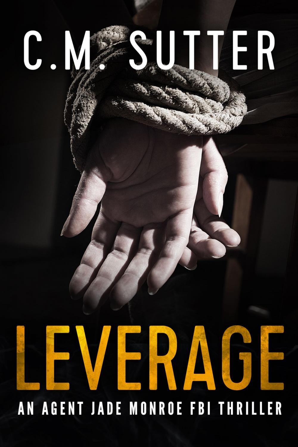 Big bigCover of Leverage