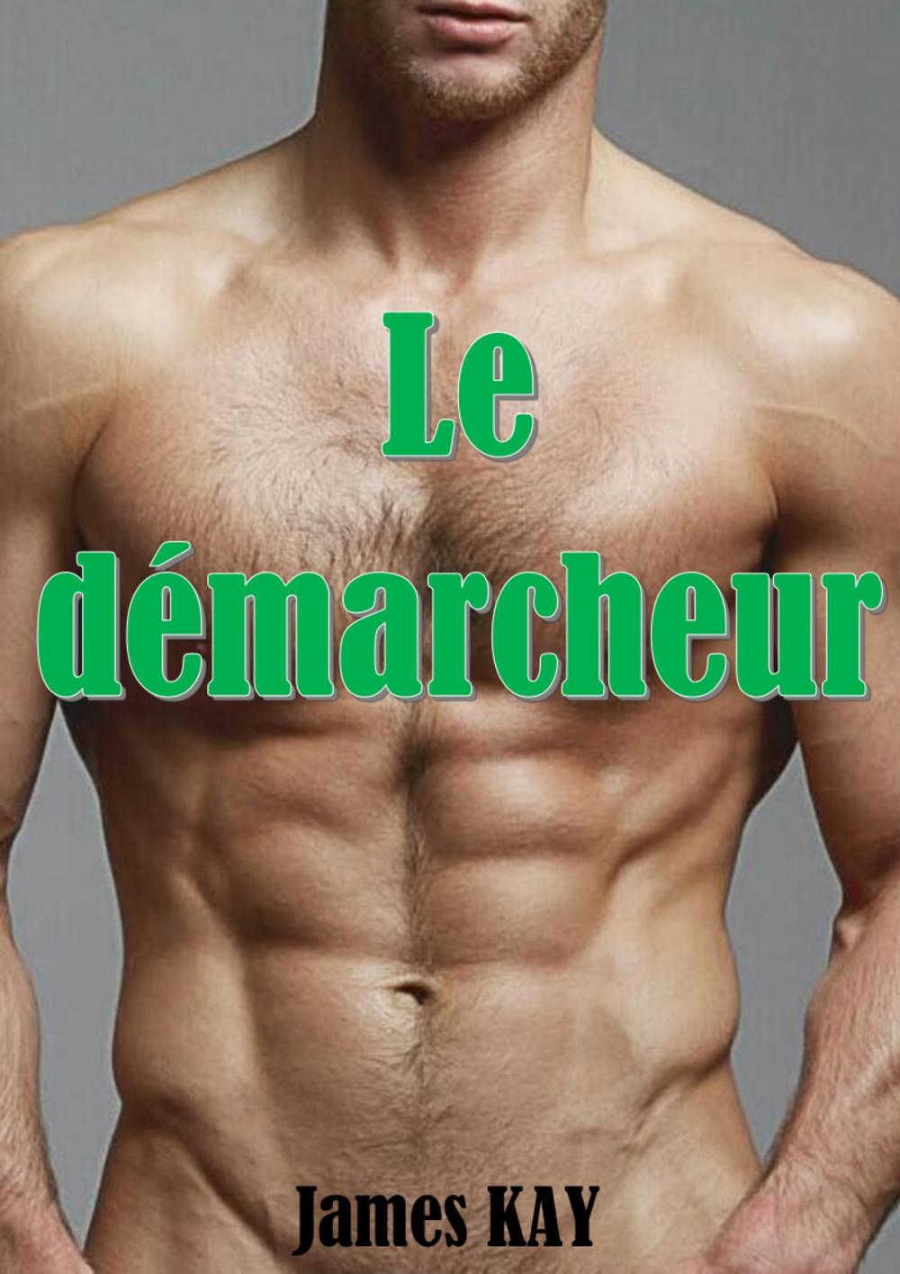 Big bigCover of Le démarcheur