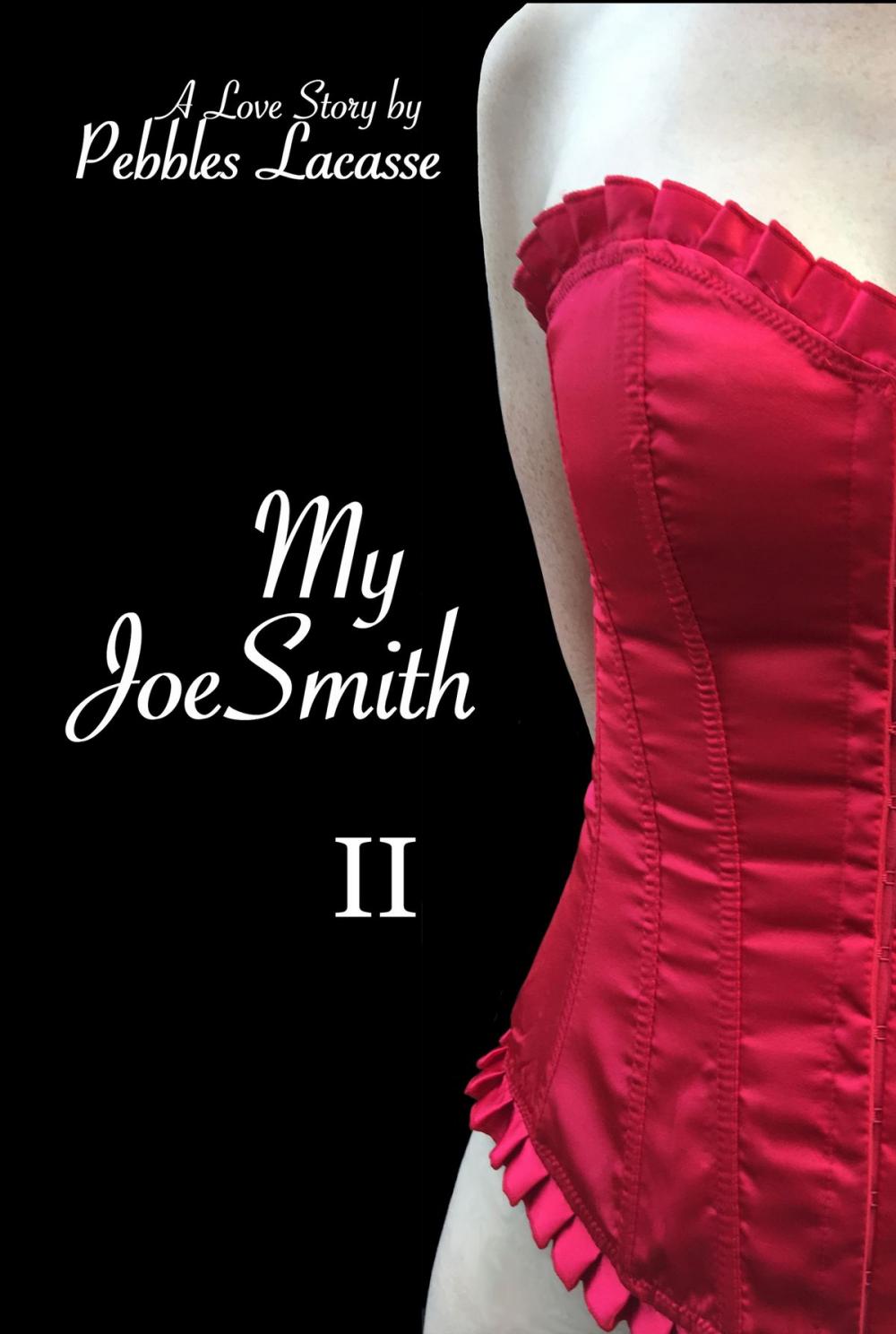 Big bigCover of My JoeSmith 2