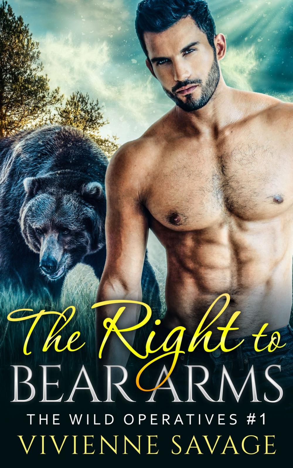 Big bigCover of The Right to Bear Arms