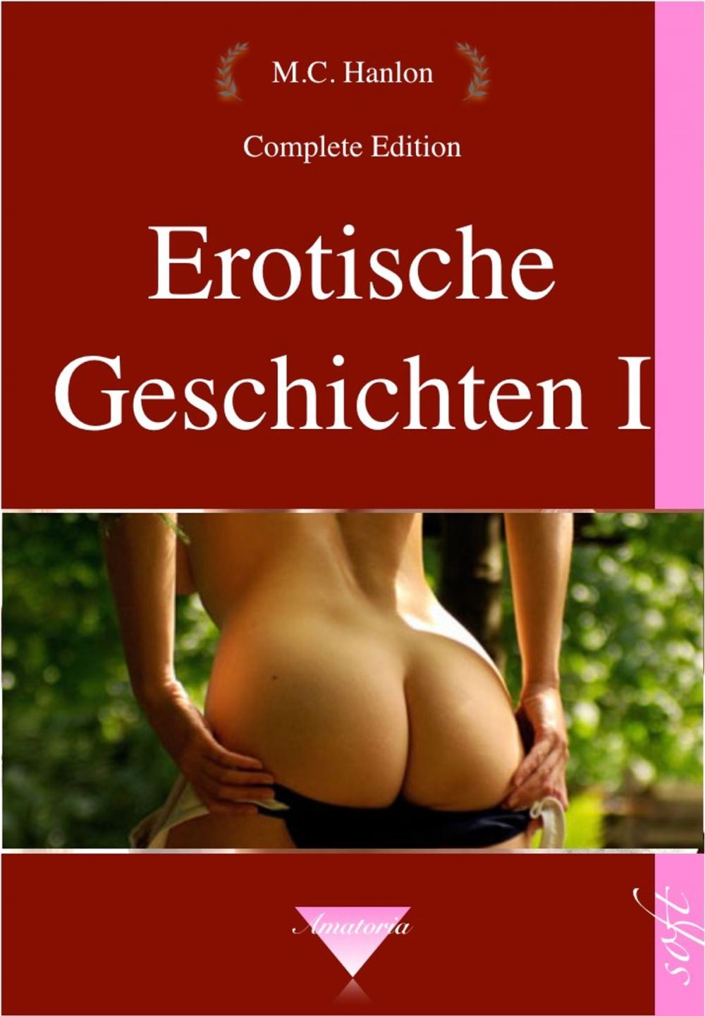 Big bigCover of Erotische Geschichten I