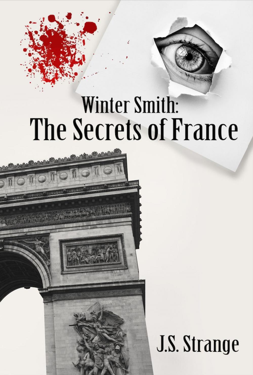 Big bigCover of Winter Smith: The Secrets of France