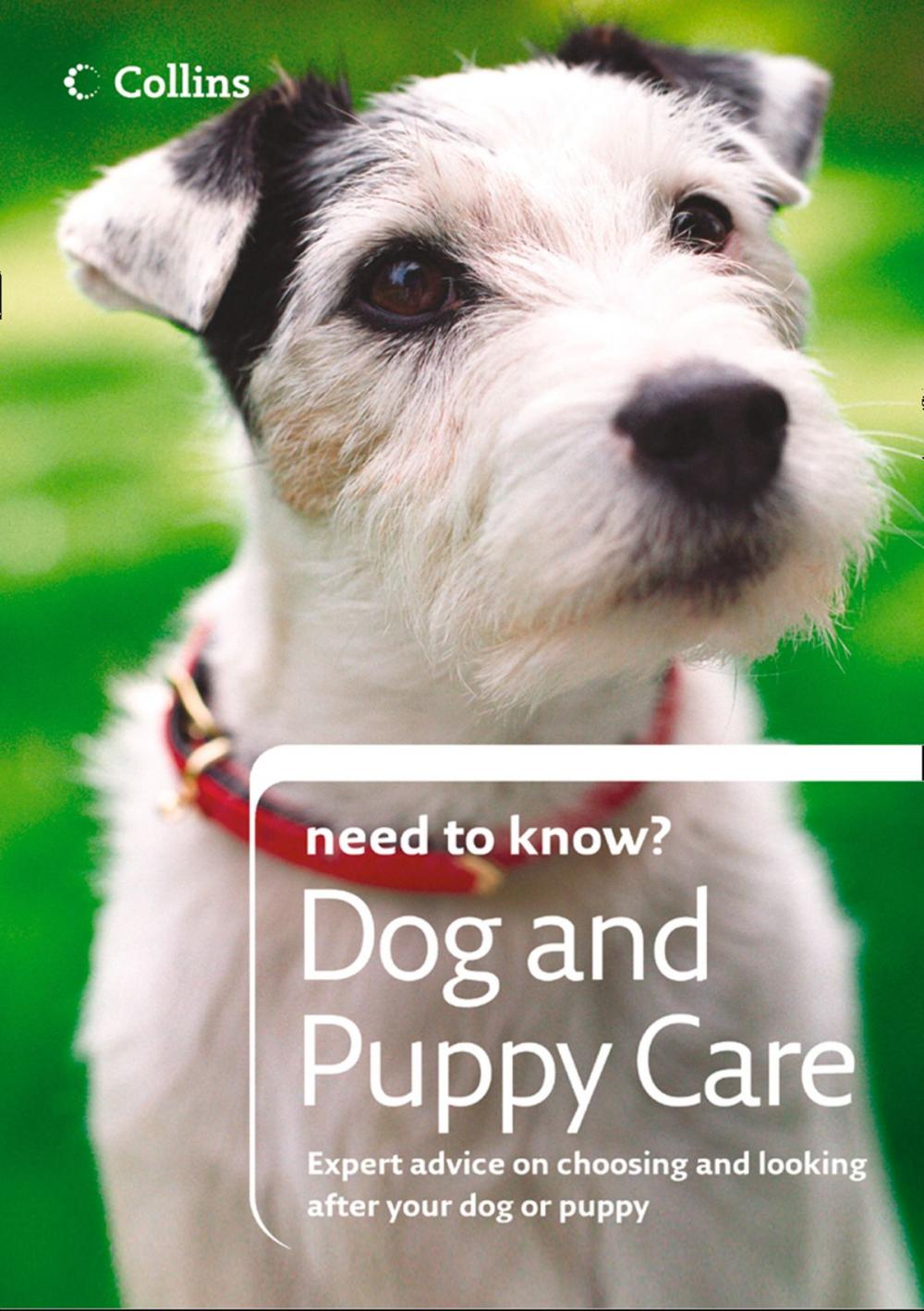 Big bigCover of Dog and Puppy Care (Collins Need to Know?)