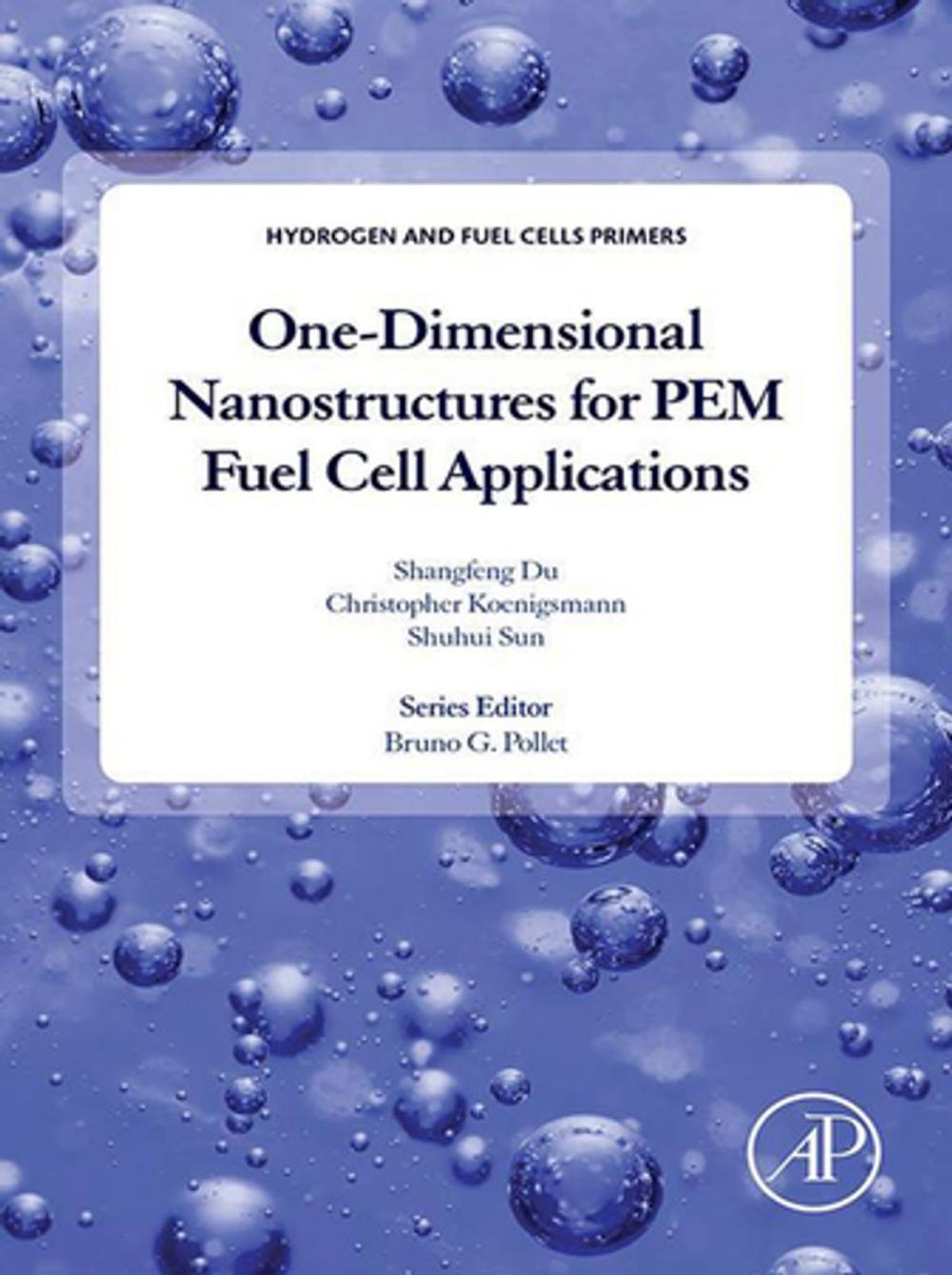 Big bigCover of One-dimensional Nanostructures for PEM Fuel Cell Applications