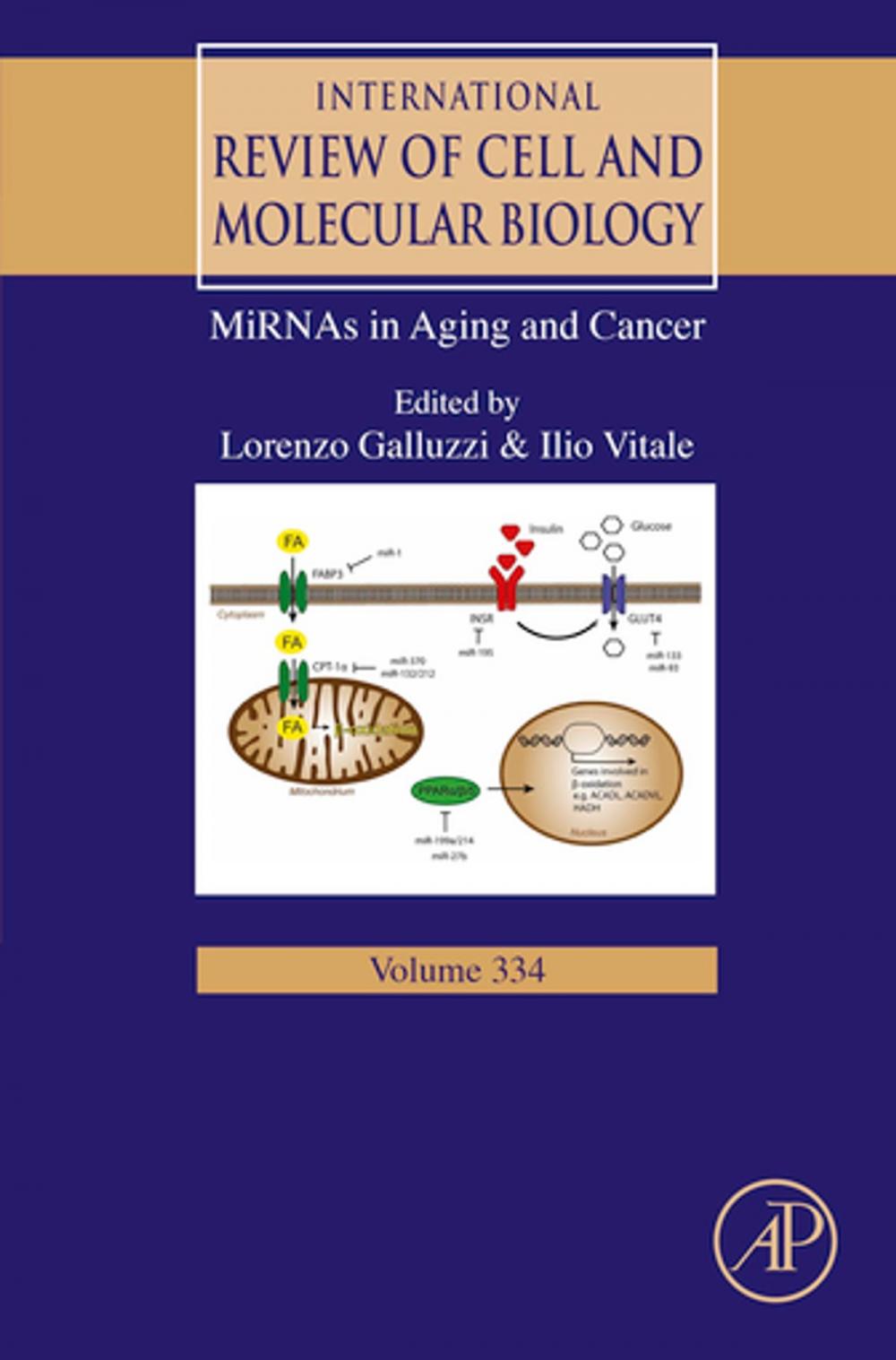 Big bigCover of MiRNAs in Aging and Cancer